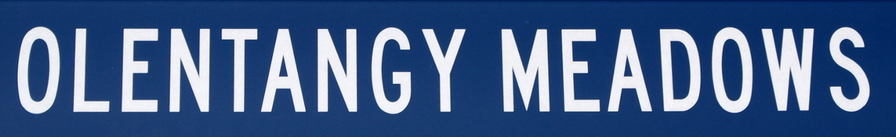 Olentangy Meadows HOA